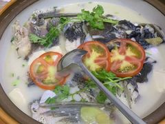 -全乐鱼馆·淳牌有机鱼直营店