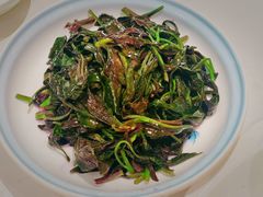观音菜-全乐鱼馆·淳牌有机鱼直营店