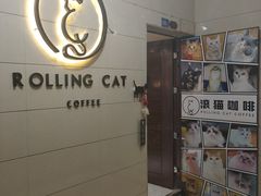 -滚猫咖啡·猫咖·猫友好撸猫(未来城店)