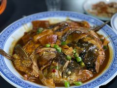 -张鸟园农家乐(张鸟园店)
