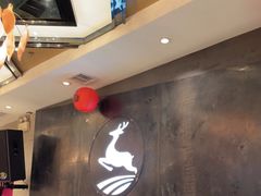 -飞鹿餐饮·陕南菜(北关店)