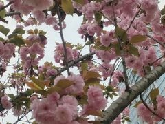 -首开·龙湖成都西宸天街
