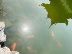 -张家港凤凰山景区河阳山歌馆