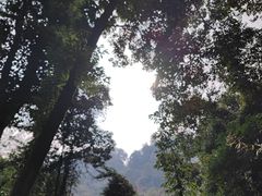 -青城山