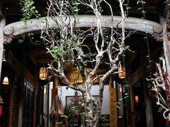 -普洱茶府(博乐广场店)