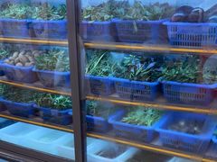 -老味道1992(武当山店)