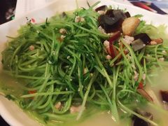 -蝴蝶汇音乐酒馆(罗湖店)