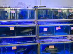 -八仔大富楼·河鲜(西江店)