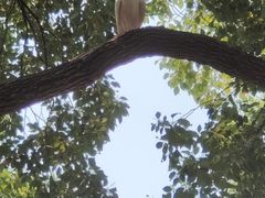 -灵山胜境