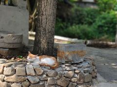 -水墨汀溪风景区