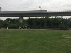 -秀丽东方