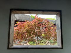 -秋霞圃