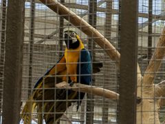 -南宫五洲植物乐园