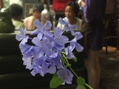 大马士革玫瑰花冠茶-NLFS1983咖啡花园餐厅(锦桂店)