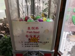 -上海大自然野生昆虫馆(东方明珠·爬宠昆虫探索中心)
