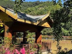 -西双版纳原始森林公园