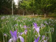 -永定河休闲森林公园