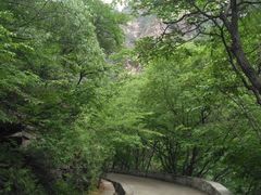 -北京上方山国家森林公园