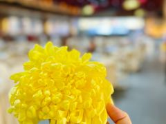 -红日饭店(裕隆三路店)