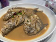 时鲜杂鱼-杨记海鲜楼(三门黑金冠店)