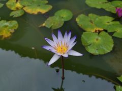 -吴祥记潮州菜·百年老字号·砂锅粥