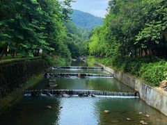 -广州白江湖森林公园