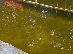 -粮心小农·大头虾亲子生态园(长发店)