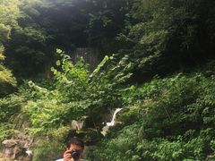 -陶祖圣境风景区