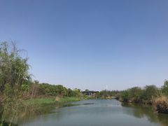 -白鹭湾湿地公园