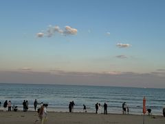 -日照海滨国家森林公园