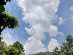 -水濂山水库景点停车场