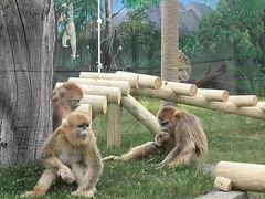 -西安秦岭野生动物园
