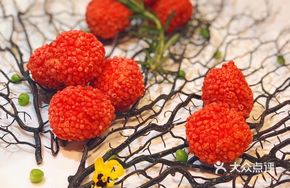 Lychee Tree
