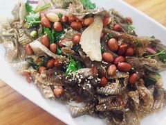 凉拌鱼皮-针姨