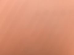 -巢爷老味(东方红店)