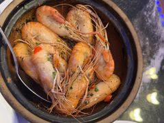 -新白鹿餐厅(百联中环店)