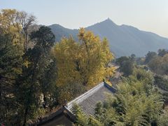 -潭柘寺景区