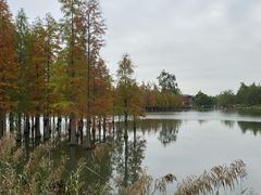 -白鹭湾湿地公园