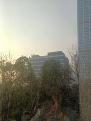 -上海首尔丽格医疗美容医院