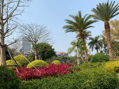 景点-白鹭洲公园