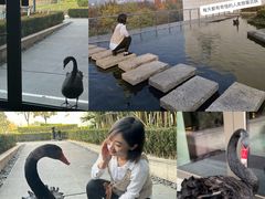-南京圣和府邸豪华精选酒店