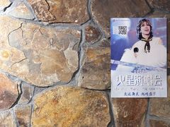 -柿子树炭烤羊腿(金台路店)