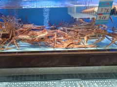 -阿伟海鲜楼·福建菜(延寿店)