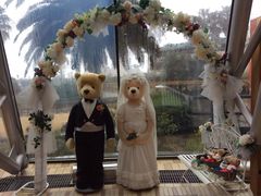 -济州岛泰迪熊博物馆