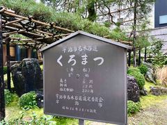 -中村藤吉(本店)