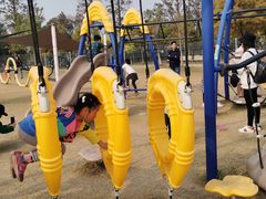 -上海长兴岛郊野公园