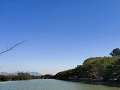 -江心屿景区