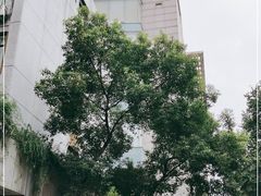 -上海交通大学医学院附属瑞金医院(总院)