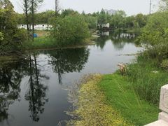 -上海长兴岛郊野公园