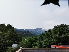 -老张烤羊(王哥庄店)